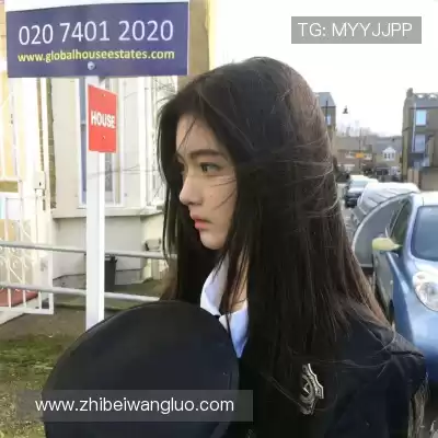 许禄仲