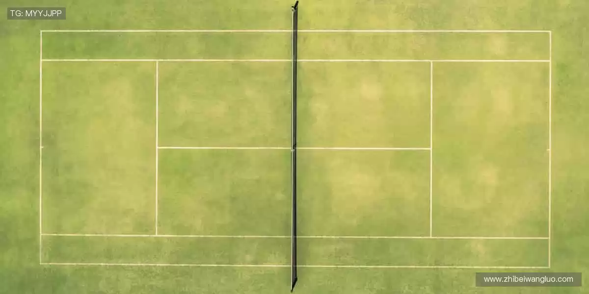 📱 指尖轻点，赛事同步全球！🌍